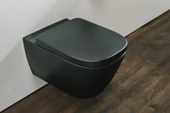 Minimalist bathroom with a wall-hung dark grey toilet, dual-flush panel, chrome toilet paper holder, and wood flooring.