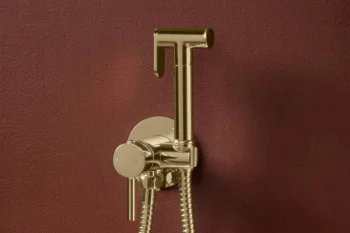 Gold-toned wall-mounted handheld shower mixer with braided hoses, set against a burgundy textured wall; circular H/C control knob and top holder.