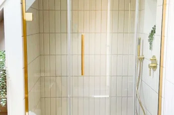 Glass shower enclosure with brass trim, white tiled walls, a handheld shower on the right, and a small green plant by the fixtures.