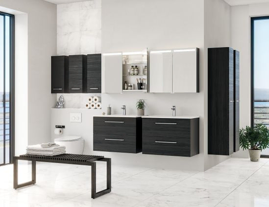 Dansani bathrooms